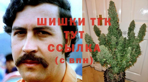 дмт Балахна