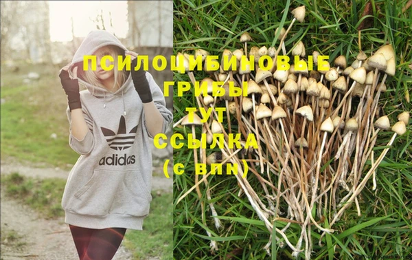 СК Балабаново