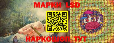 гидра Вязники