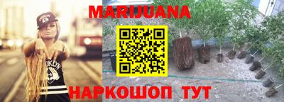 гидра Вязники