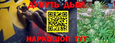 гашик Вязьма