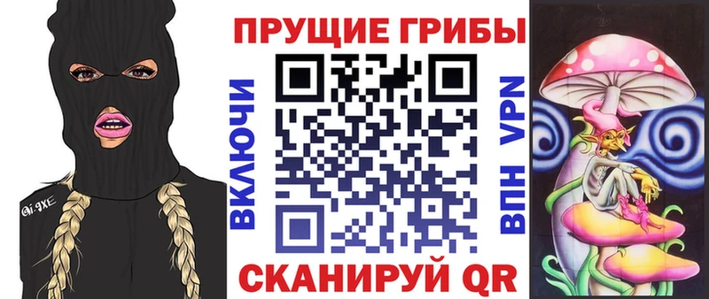 магазин продажи   Белая Калитва  Галлюциногенные грибы прущие грибы 